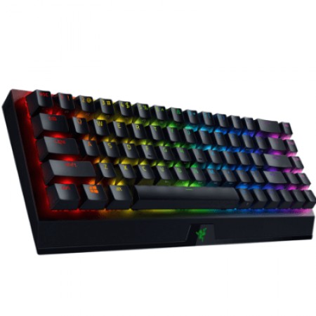Razer Mehanička Tastatura Blackwidow V3 Mini HyperSpeed Wireless
