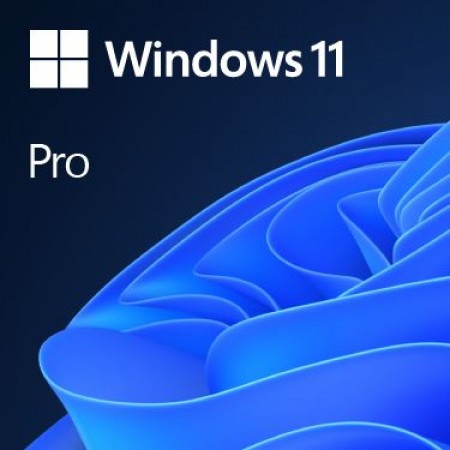 Microsoft WIndows 11 Pro Eng OEM 64-bit