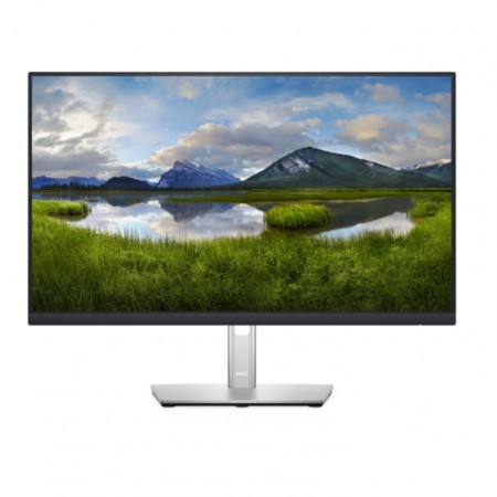 23.8" DELL P2422H Professional Display