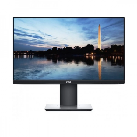 21.5" DELL P2219H IPS Display