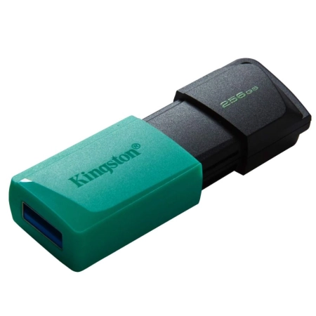 Kingston USB Memorija DT Exodia M 256GB USB 3.2