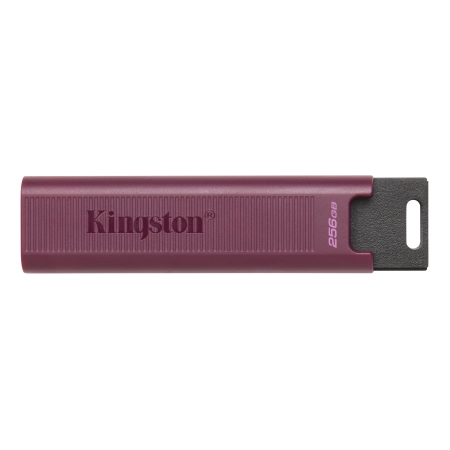 Kingston USB-A Memorija DT Max 256GB USB 3.2