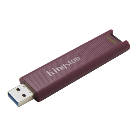 Kingston USB-A Memorija DT Max 256GB USB 3.2