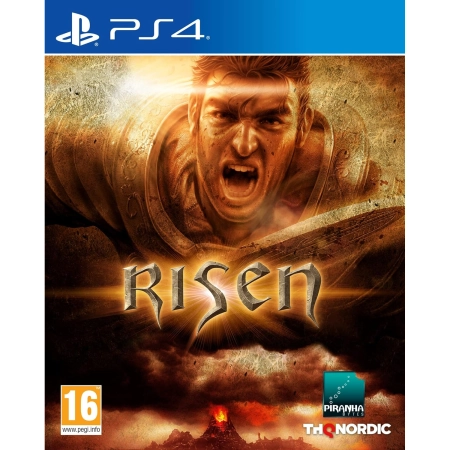 Risen /PS4